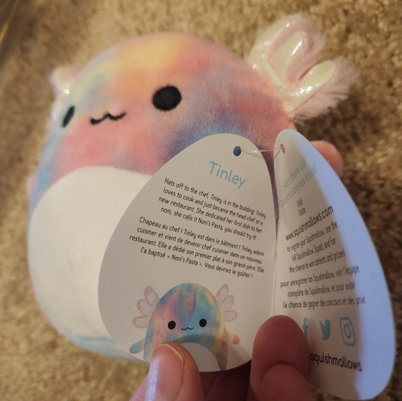 Axolotl Squishmallow Bundle - Picture 3 of 11